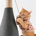 Load image into Gallery viewer, Wine Bottle Cat Scratcher