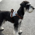 Load image into Gallery viewer, Side view of Schnauzer wearing adjustable soft vest dog harness outdoors
