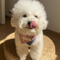 Load image into Gallery viewer, White Bichon Frise wearing red white diamond triangle bandana pet collar