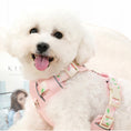 Load image into Gallery viewer, White Bichon Frise wearing peach pink breathable mesh dog harness
