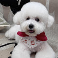 Load image into Gallery viewer, White Bichon Frise wearing red bow printed bandana pet collar