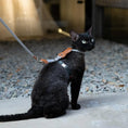 Load image into Gallery viewer, Black cat wearing green and beige adjustable cat harness with rope leash sitting outdoors on pavement