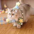 Load image into Gallery viewer, Fluffy grey long hair cat wearing blue birthday hat with star sitting on wooden floor with star confetti decorations