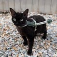Load image into Gallery viewer, Black cat wearing properly fitted lightweight harness and rope leash on gravel ground showing correct fit