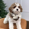 Load image into Gallery viewer, Close-up of puppy wearing classic plaid bow cat and dog collar