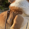 Load image into Gallery viewer, Corgi wearing brown adjustable no-pull dog harness with soft padding