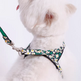 Load image into Gallery viewer, Close-up of daisy floral dog harness with soft padding on white dog