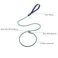 Load image into Gallery viewer, Dog slip leash structure diagram showing soft handle alloy buckle and climbing rope