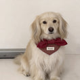 Load image into Gallery viewer, Cream long-haired dog wearing red bow houndstooth bandana collar