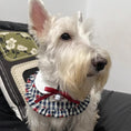 Load image into Gallery viewer, White wire-haired dog wearing vintage plaid ruffle bow pet collar