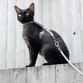 Load image into Gallery viewer, Black cat wearing white adjustable escape proof harness standing on concrete wall outdoors with leash