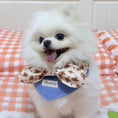 Load image into Gallery viewer, White Pomeranian dog wearing festive gingerbread bow bandana collar