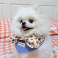Load image into Gallery viewer, Pomeranian wearing blue denim gingerbread bow pet bandana collar