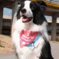 Load image into Gallery viewer, Border Collie wearing Gravipaw blue Happy Birthday bandana and party hat set
