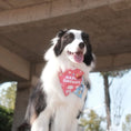 Load image into Gallery viewer, Border Collie dog wearing blue reversible birthday bandana from Gravipaw