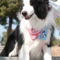 Load image into Gallery viewer, Border Collie in Gravipaw birthday bandana and custom number party hat for dogs