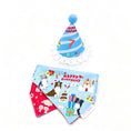 Load image into Gallery viewer, Gravipaw blue Border Collie birthday bandana and party hat set for large dogs