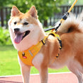 Load image into Gallery viewer, Two Akita dogs wearing yellow no pull tactical harnesses walking together outdoors on leash