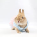 Load image into Gallery viewer, Dog Clothing, Cat & Rabbit Tutu Dress – Pastel Princess