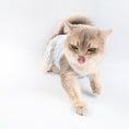Load image into Gallery viewer, Blue Knit Lace Pet Dress – Cute Outfit for Rabbits, Cats & Small Dogs