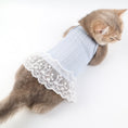 Load image into Gallery viewer, Blue Knit Lace Pet Dress – Cute Outfit for Rabbits, Cats & Small Dogs
