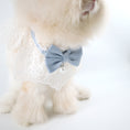 Load image into Gallery viewer, Light Blue Lace Bow Collar with Pearl Charm