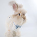 Load image into Gallery viewer, Light Blue Lace Bow Collar with Pearl Charm