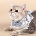 Load image into Gallery viewer, Light Blue Lace Bow Collar with Pearl Charm