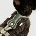 Load image into Gallery viewer, Close up of green leather adjustment pad on cat harness showing stitching and metal ring detail