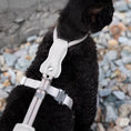 Load image into Gallery viewer, Abyssinian cat wearing beige lightweight adjustable harness and leash perched on elevated surface outdoors