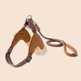 Load image into Gallery viewer, Luxury adjustable V-shaped dog harness and leash set with dual D-ring and soft padding