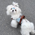 Load image into Gallery viewer, Maltese sitting on pavement wearing grey soft vest anti pull dog harness
