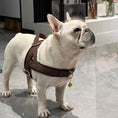 Load image into Gallery viewer, French bulldog wearing brown leather adjustable no pull harness standing outdoors on pavement
