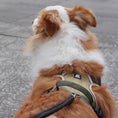 Load image into Gallery viewer, Close up front view of olive green no pull dog harness showing padded chest panel and adjustable strap on large dog