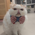 Load image into Gallery viewer, White Persian cat wearing red white diamond bow tie pet collar