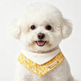 Load image into Gallery viewer, White dog wearing a yellow floral bandana with a name tag on a white background