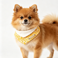 Load image into Gallery viewer, Small dog wearing a yellow bandana with a brand logo on a white background