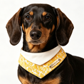 Load image into Gallery viewer, Dog wearing a yellow floral bandana with a name tag on a white background