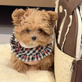 Load image into Gallery viewer, Brown Poodle puppy wearing vintage blue plaid ruffle bow bandana