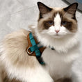 Load image into Gallery viewer, Ragdoll cat wearing teal adjustable escape proof vest harness indoors