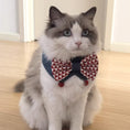 Load image into Gallery viewer, Ragdoll cat wearing red white diamond pattern bow tie denim collar