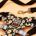 Load image into Gallery viewer, Close-up of reflective strip and quick-release buckle on daisy print dog harness