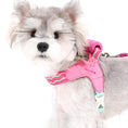 Load image into Gallery viewer, Schnauzer front view wearing pink breathable mesh dog harness