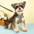 Load image into Gallery viewer, Schnauzer wearing daisy floral print step-in dog harness with leash