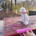 Load image into Gallery viewer, Schnauzer sitting on wooden bench wearing pink mesh vest harness