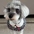 Load image into Gallery viewer, Grey Schnauzer wearing vintage blue plaid ruffle bow bandana collar