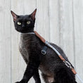 Load image into Gallery viewer, Black cat wearing lightweight adjustable harness with soft nylon rope leash standing outdoors full body view