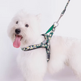 Load image into Gallery viewer, West Highland White Terrier wearing green daisy print quick-wear dog harness