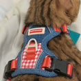Load image into Gallery viewer, cat wearing dog harness and leash set adjustable pet harness for cats