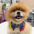 Load image into Gallery viewer, Pride dog collar handmade rainbow bandana style for small dogs